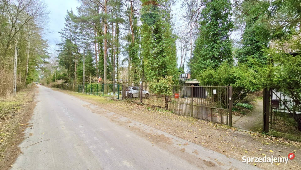 Działka zabudowana Zalesie Górne Kwiat Paproci Sprzedaż