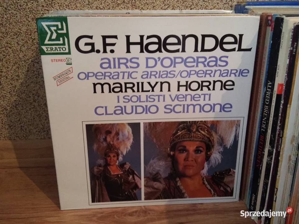 Kolekcja 170 płyt winylowych całość w transzach klasyczna Włocławek sprzedam