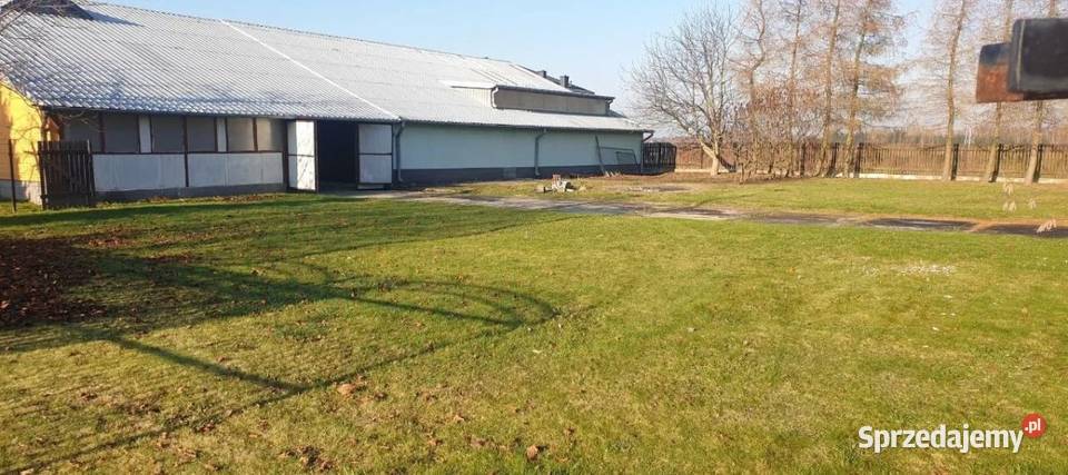 Dom magazyn hotel Gm Ożarów Maz Pilaszków