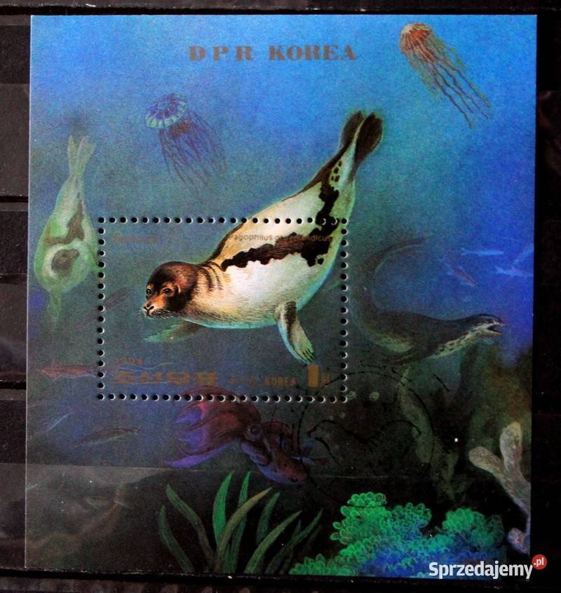 Korea fauna Oborniki sprzedam