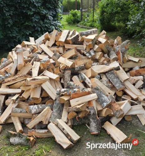 Różne rodzaje drewna opałowegokominkowego warmińsko-mazurskie Targowo