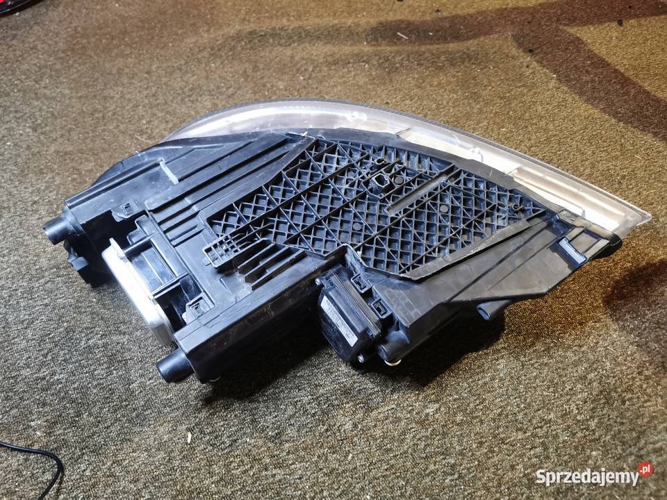 OCTAVIA II RS LAMPA PRZÓD PRAWA XENON 1Z1941019G Pielgrzymka