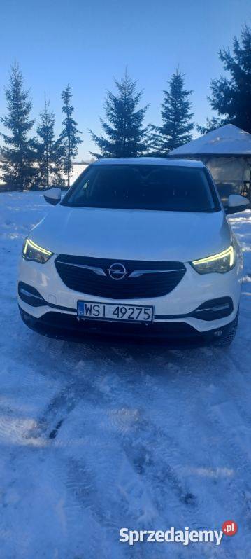 Opel Grandland X 2019