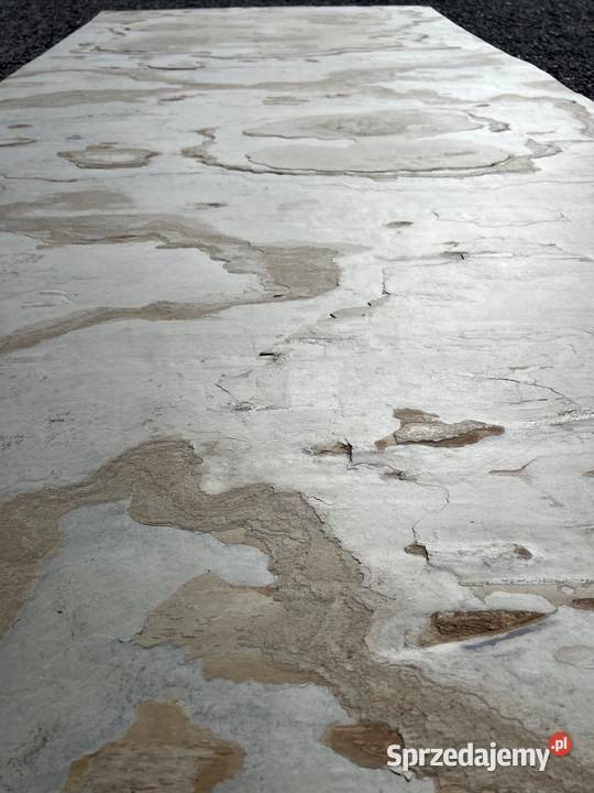 Kamień w Rolce BEIGE 12261 mazowieckie Warszawa