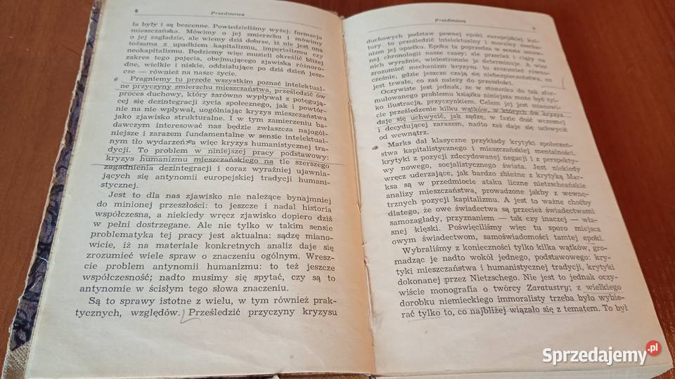 Zmierzch mieszczaństwa immoralizm nihilizm Podręczniki Kultura i Rozrywka