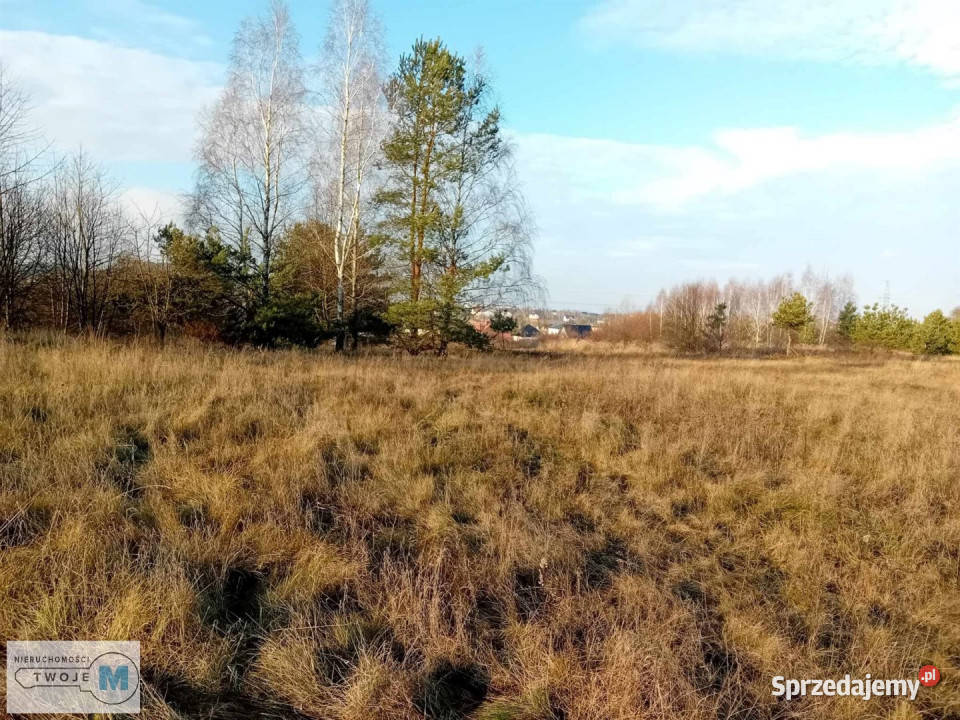 Do sprzedaży działka 17841m Daleszyce handlowo-usługowa