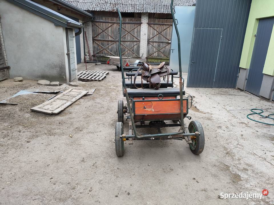Bryczką jednego dwóch kucyków