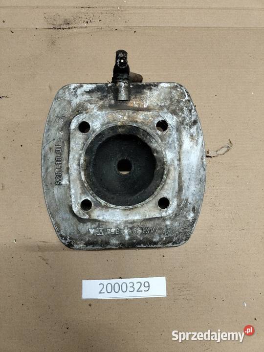 Dzik 2 głowica Rozkochów