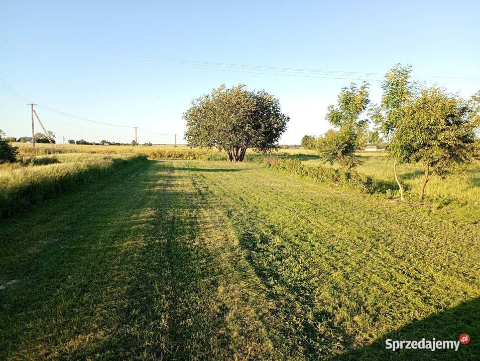 Siedlisko 093ha Piask i Lublina Kozice Dolne-Kolonia sprzedam
