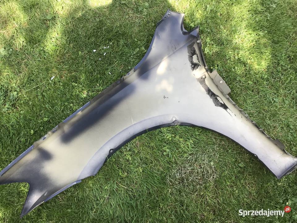 Błotnk samochodowy Mnich sprzedam