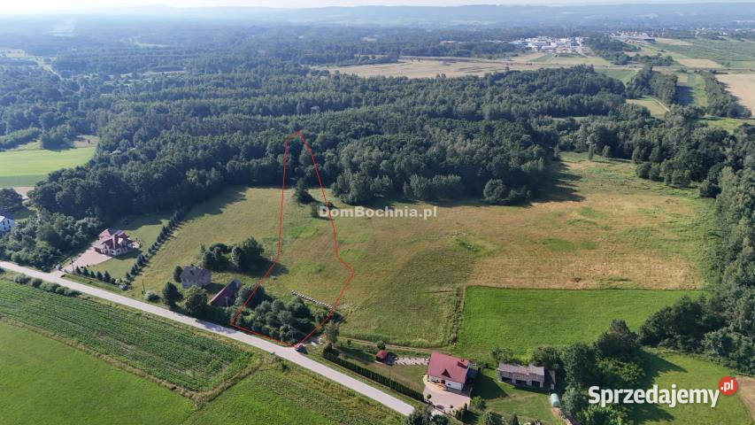 Działka 7712m2 Ostrów Królewski Sprzedaż