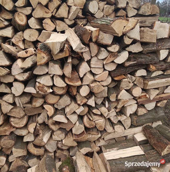 Drewno opałowe 160zl Iłża sprzedam