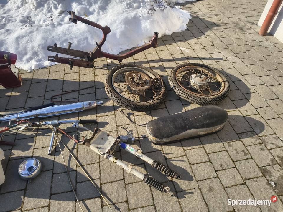 Jawa kaczka pancerka podkarpackie Rzeszów