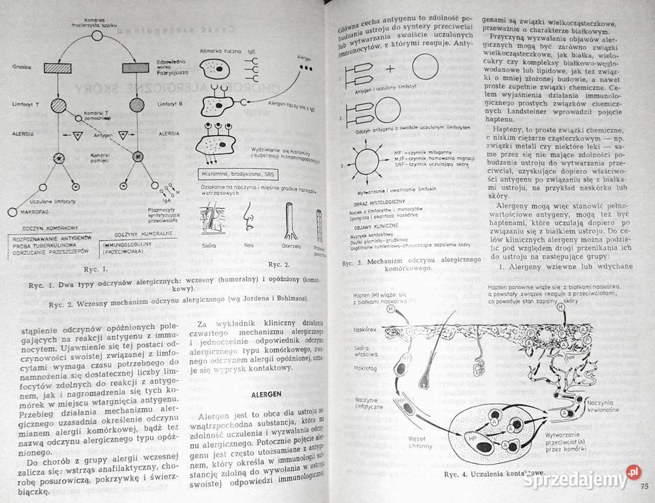 Zarys chorób skóry Antoni Czernielewski lubelskie Chełm sprzedam