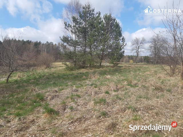 sprzedaży gruntu 1302 metry Nowy Bukowiec
