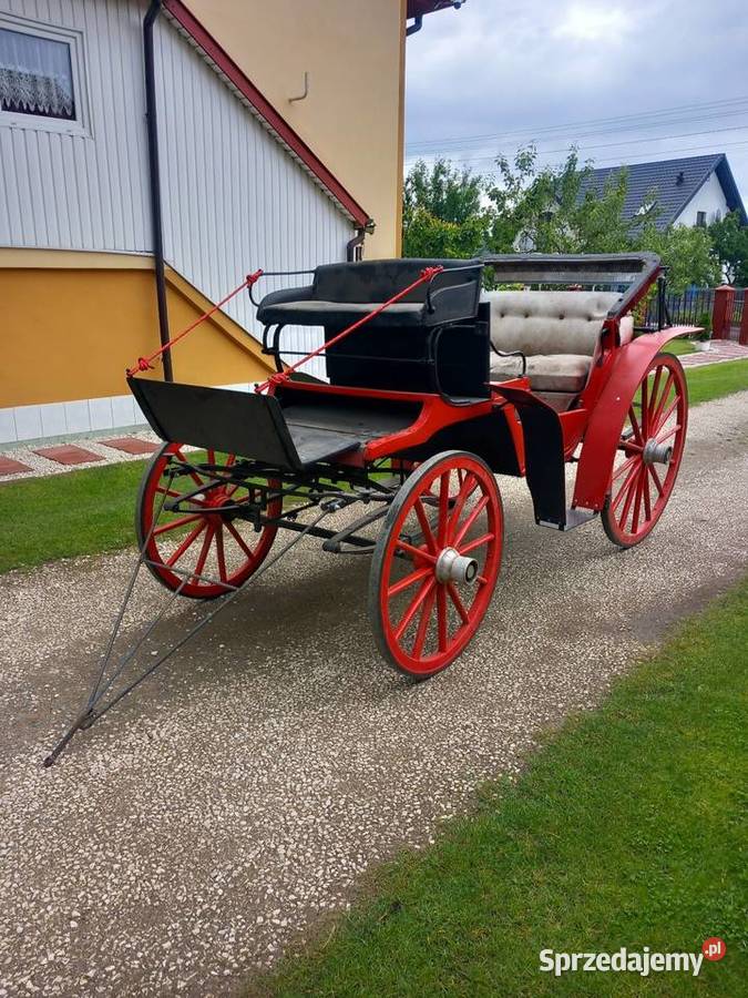 Bryczki konne 2 Duża i Mała lubelskie Góra Puławska
