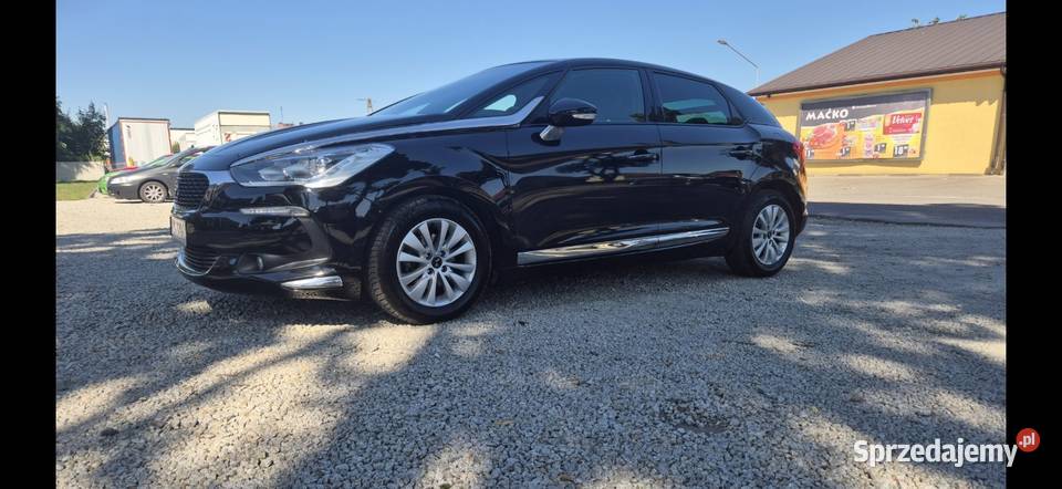DS5 Zadbany Masanów