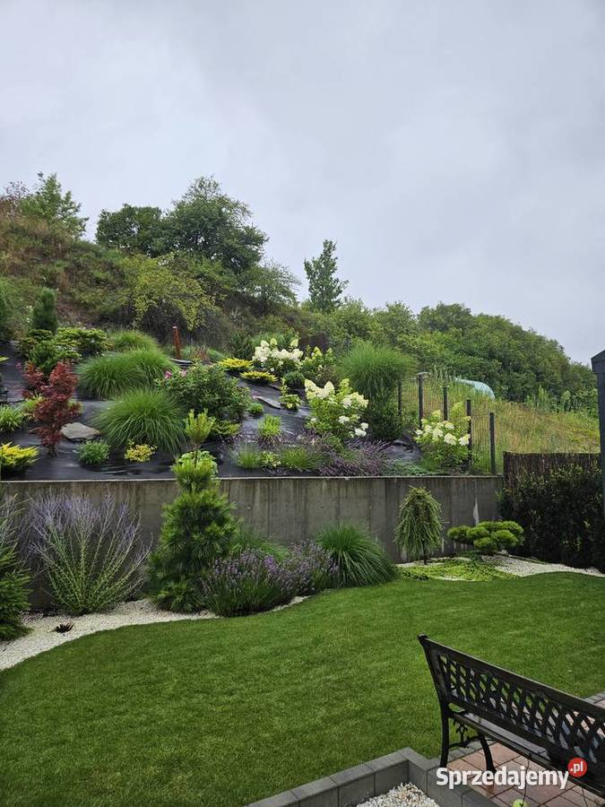 Zakładanie pielęgnacja ogrodu Bydgoszcz