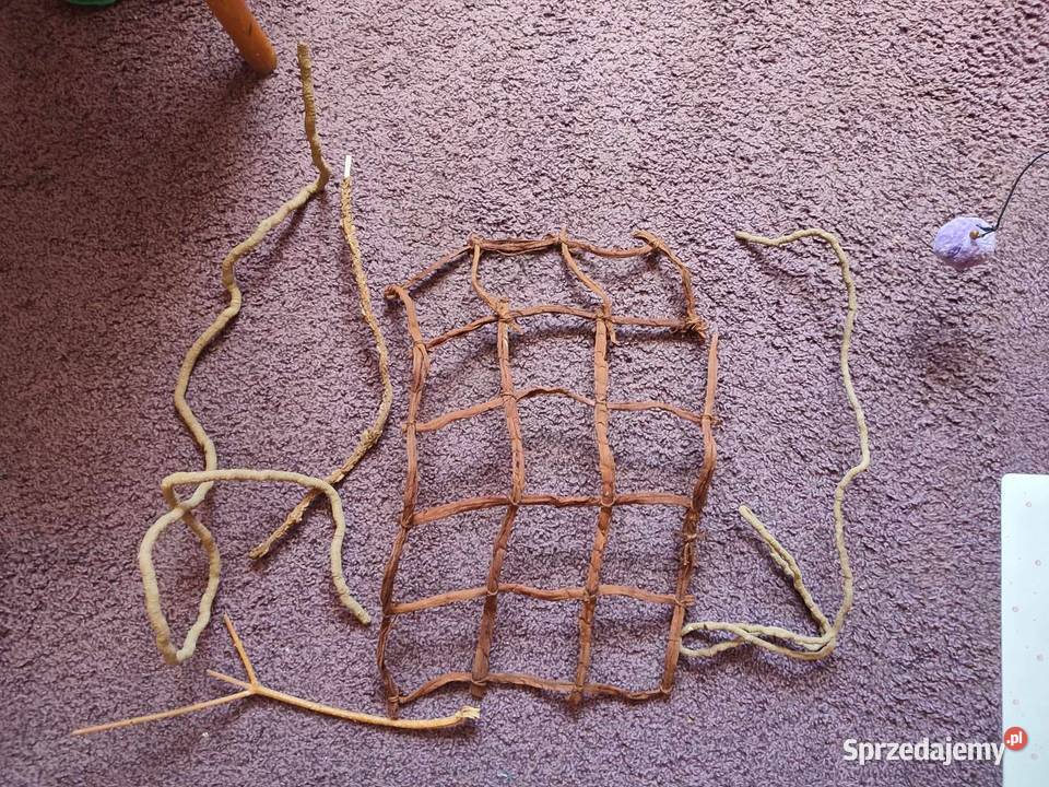 Terrarium kameleona z wyposażeniem Lubin