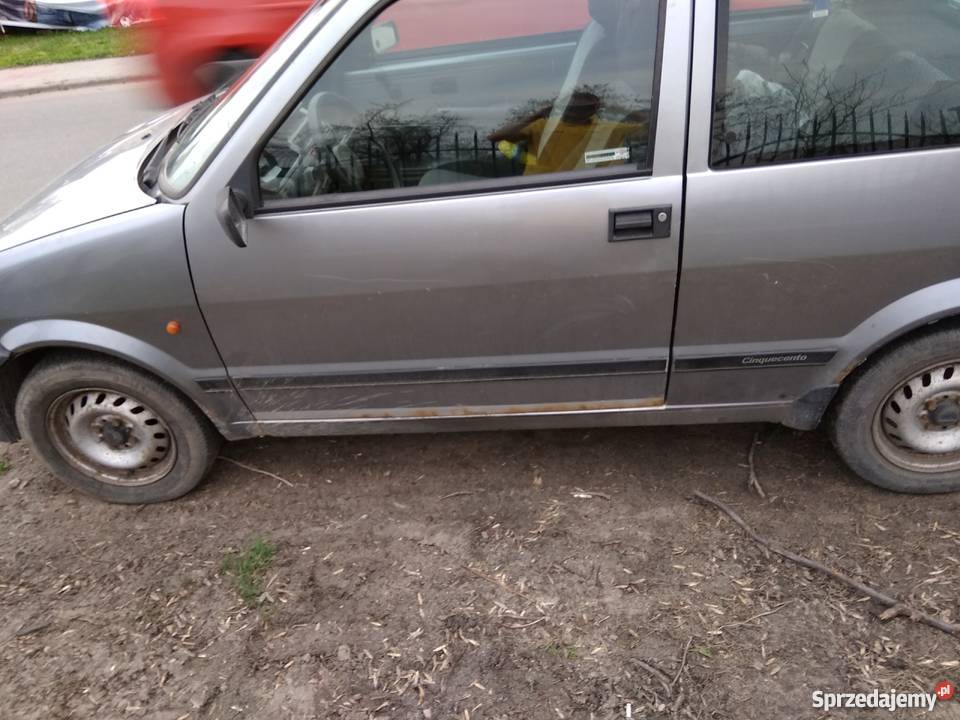 Cienias drobne Wilczęta