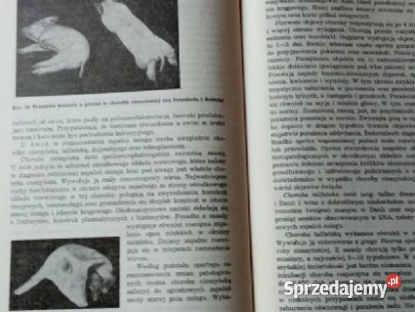 Choroby układu nerwowego u zwierząt Gancarz1976 medycyna, nauki medyczne