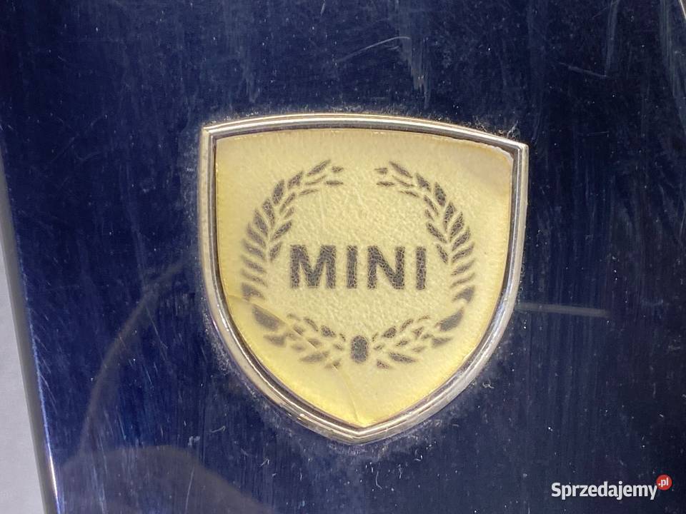 DRZWI PRAWY PRZÓD MINI COUNTRYMAN R60 Hatchback