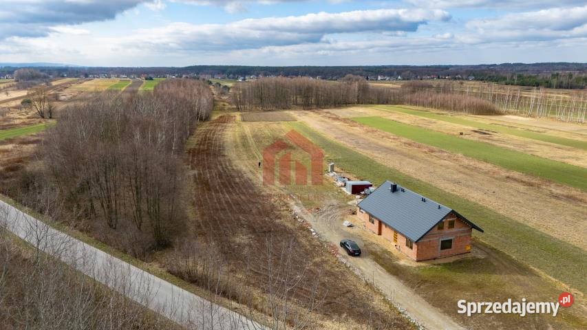 sprzedaży gruntu 2300m2 Krzywa sprzedam