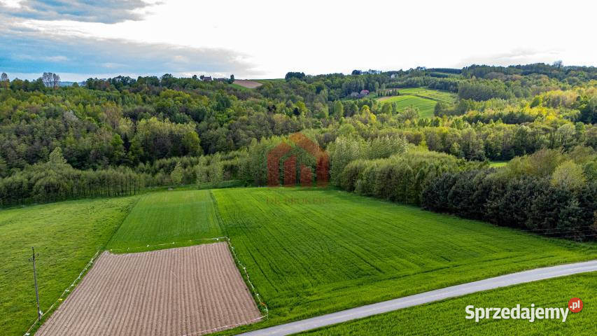 Działka Zagórze 1000m2 budowlana Nieruchomości