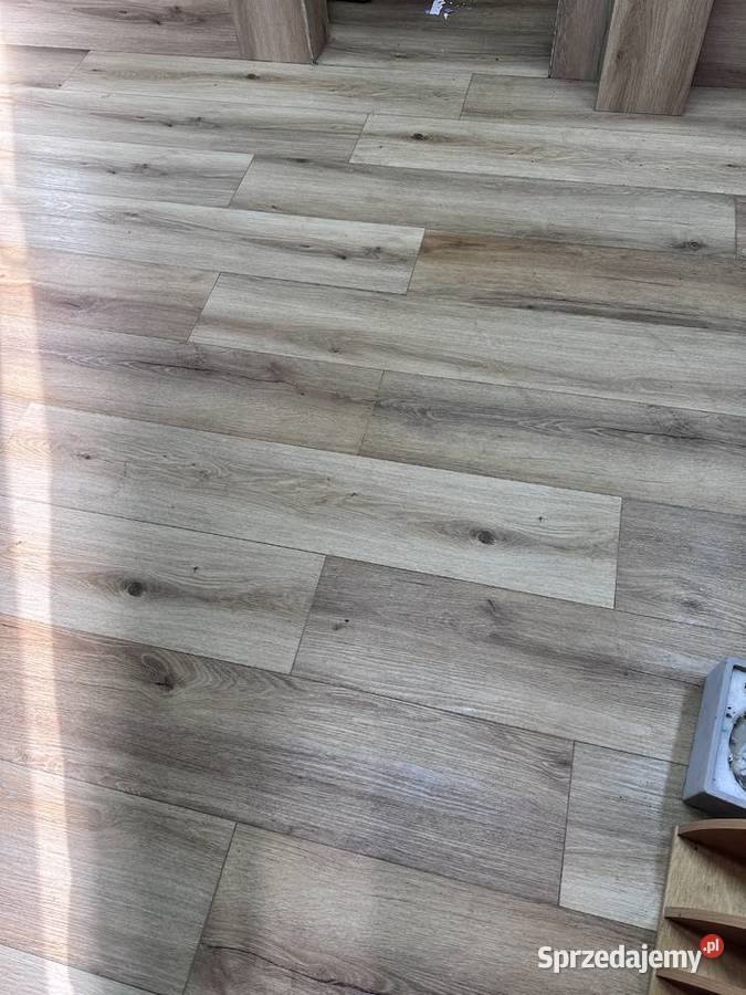 Lokal Handlowy Usługowy Biuro magazyn Wrocław