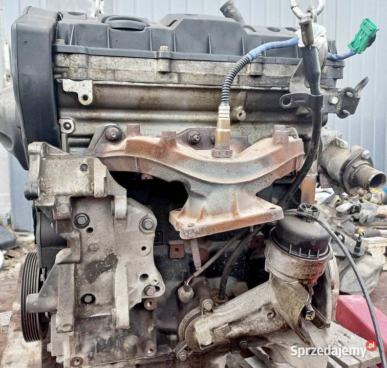 Citroen C3 C4 Peugeot 206 207 307 silnik 16 16V Radom