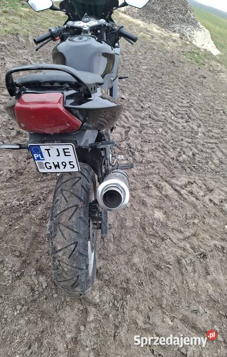 Zipa pro 50125 świętokrzyskie Jędrzejów sprzedam