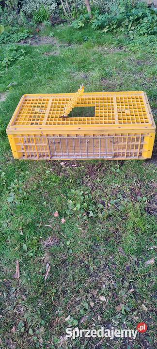 Klatka transportowa kurgołębi drobiu Koniecpol