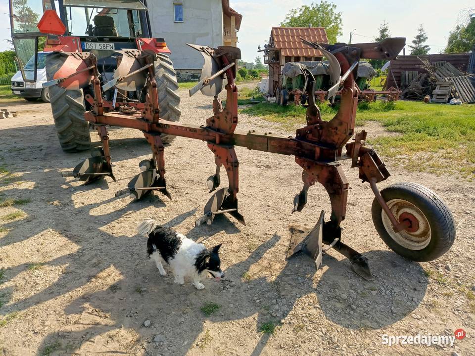 Pług Case international 31 dolnośląskie Opatowice