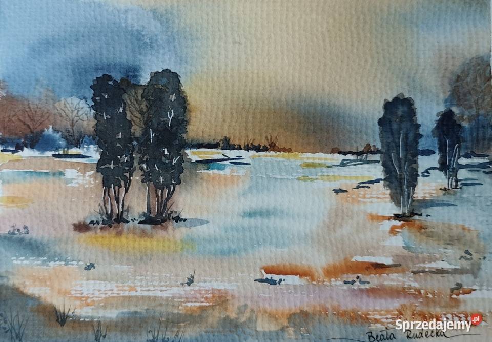 Akwarela Akwarelka Obraz pt Współistnienie Rękodzieło warmińsko-mazurskie Mikołajki sprzedam