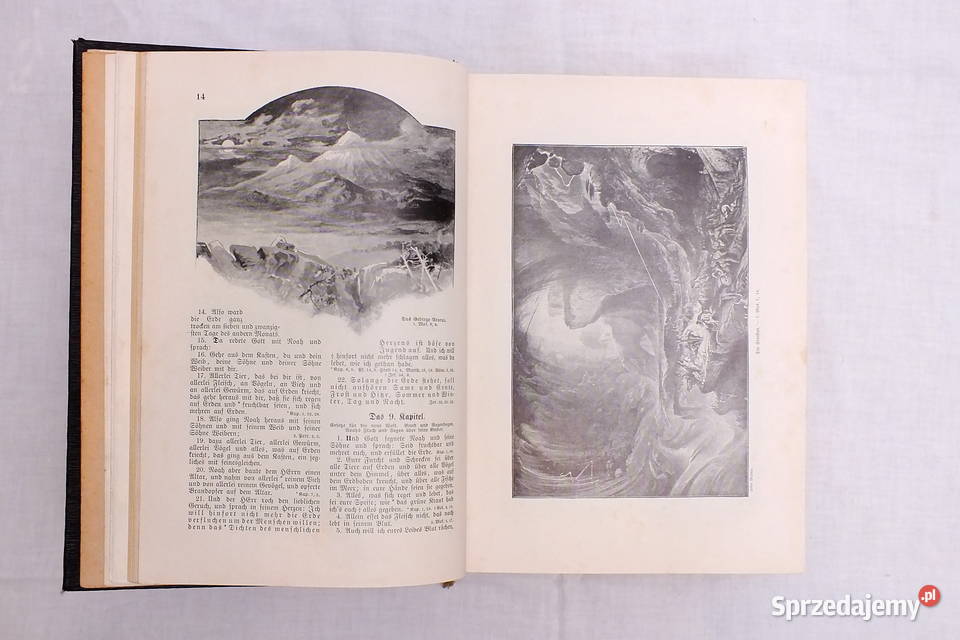 Stara biblia ilustrowana Lubin sprzedam