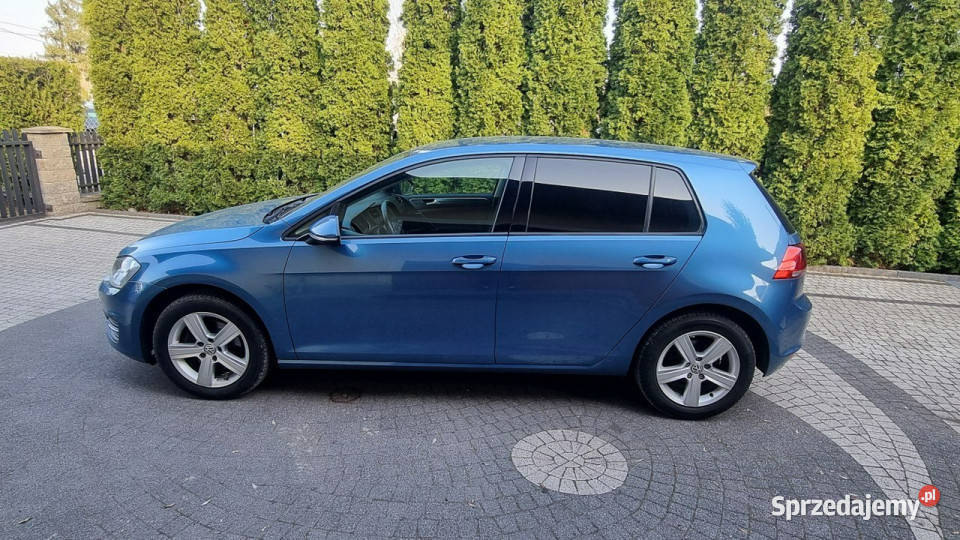 Volkswagen Golf 20 TDI Kamera Climatronic Płońsk
