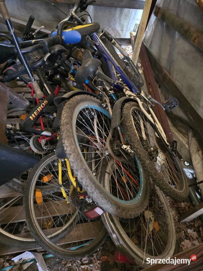 Rowery lubuskie Żary