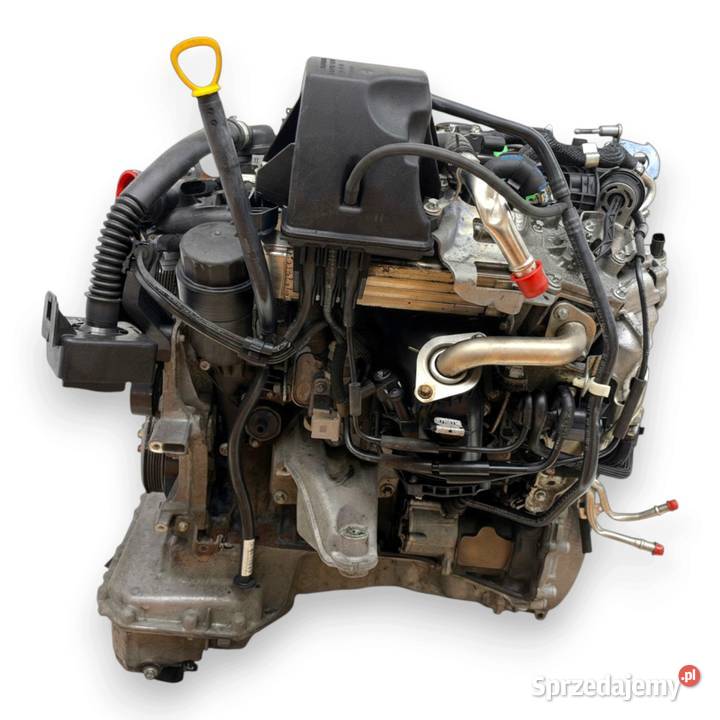 SILNIK 651950 Mercedes V Klasa Vito W447 Chełm