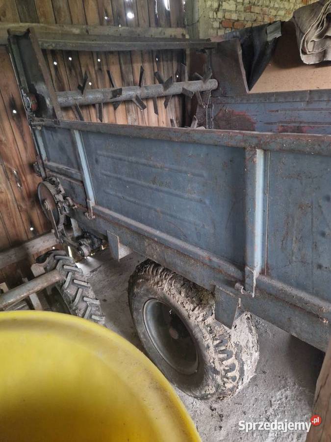 Rozrzutnik podlaskie Szypliszki