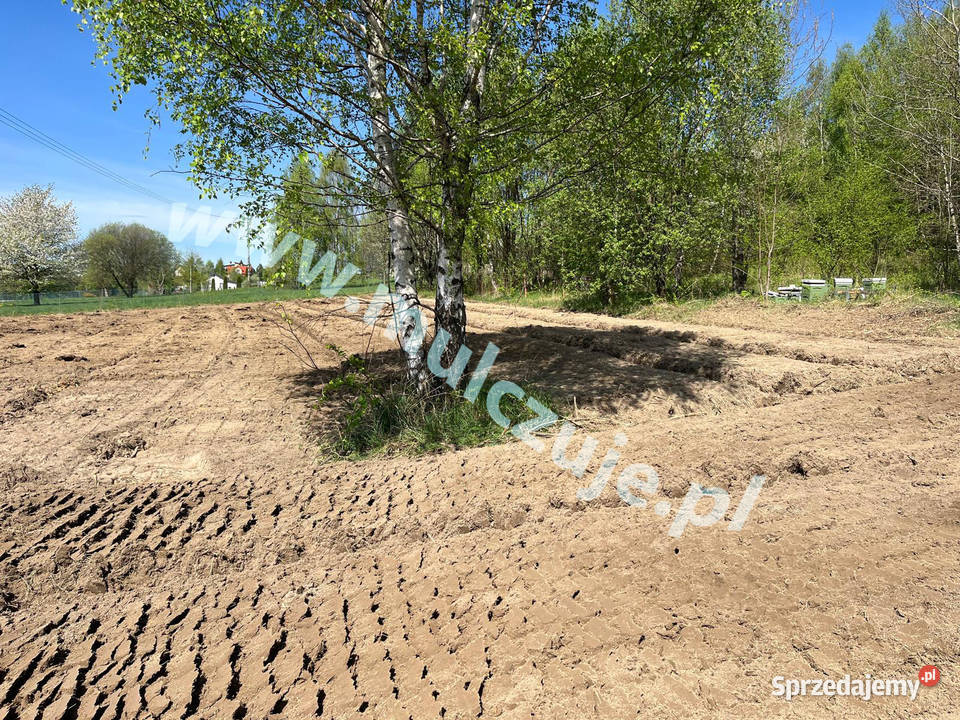Mulczer leśny wgłębny powierzchniowy Karczowanie Karczowanie i usuwanie drzew Kraków