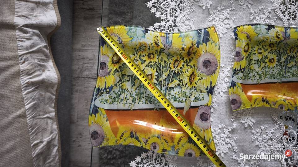 Komplet talerzy szklanych malowanych motywy Van