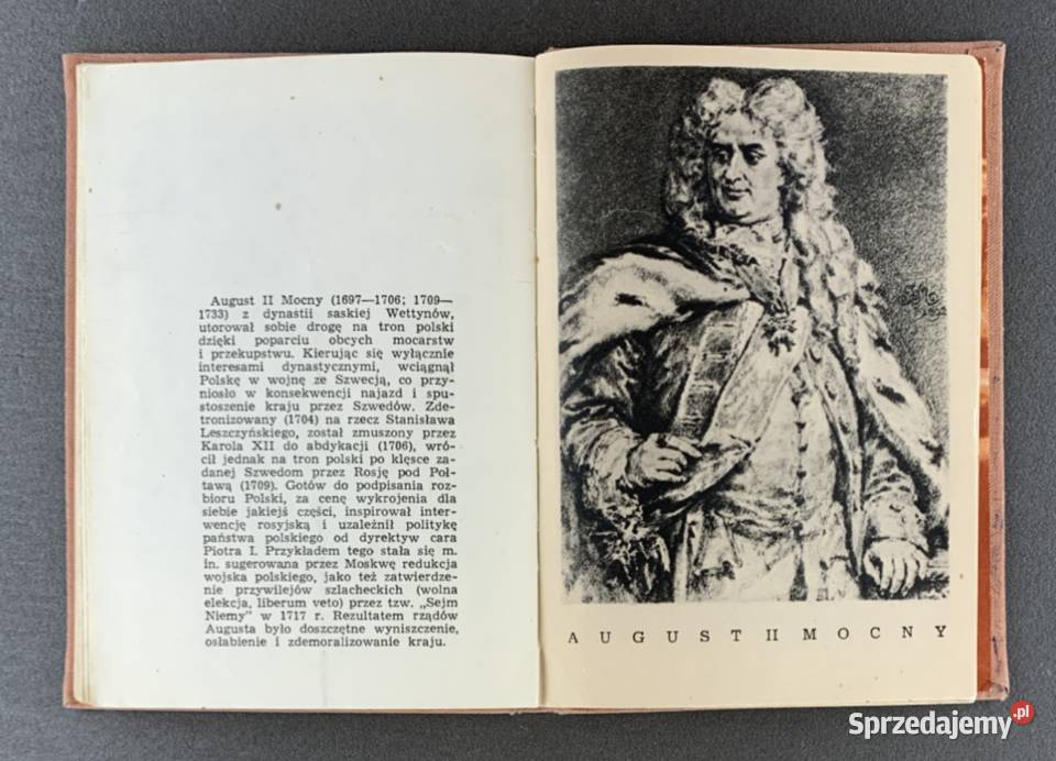 Poczet Królów Polskich Jan Matejko Stalowa Wola