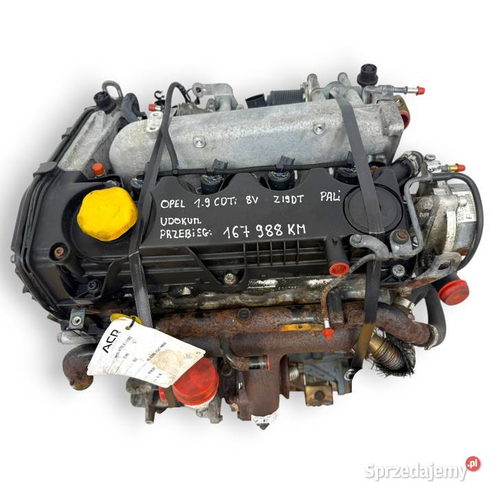 SILNIK Z19DT Opel Signum Vectra C Astra H Zafira Chełm
