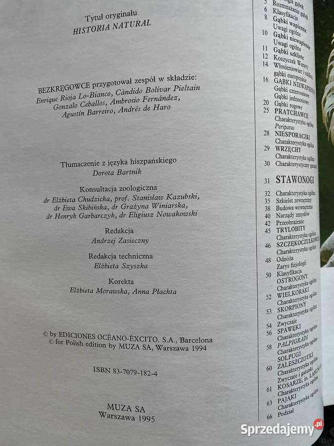 HISTORIA NATURALNA Bezkregowce Lublin sprzedam