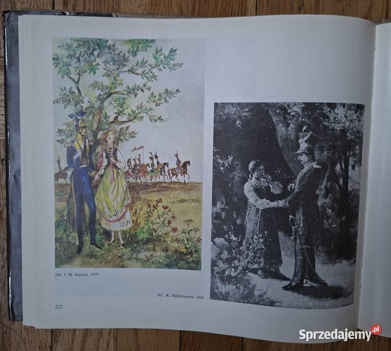 Pan Tadeusz w ilustracjach Poradniki, albumy i reportaże mazowieckie Warszawa sprzedam