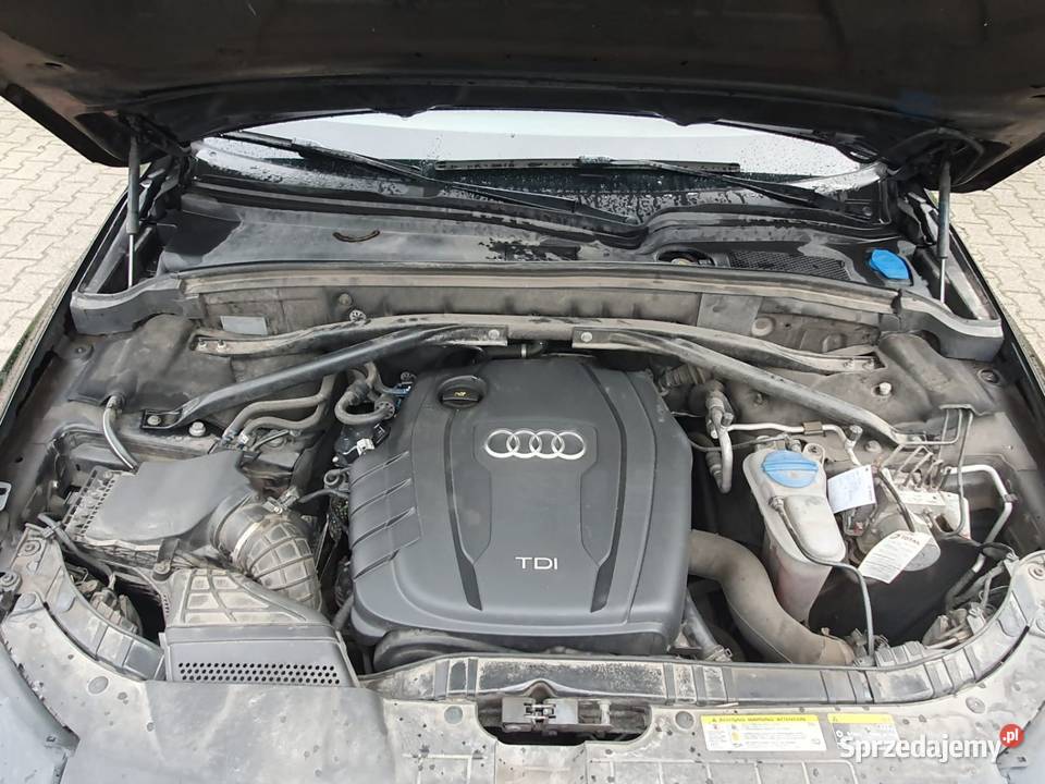 Audi Q5 2014r Nysa