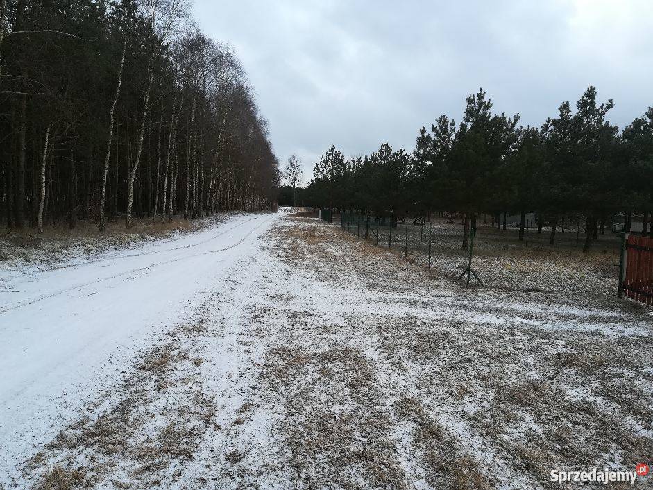 Sprzedam działkę 3000m2 Grunty i działki Krąplewice
