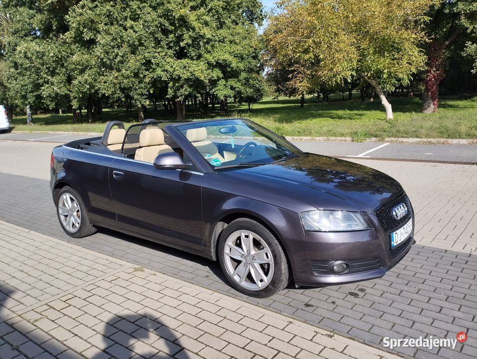 Audi A3 Cabrio 19 TDI 105 Wołów