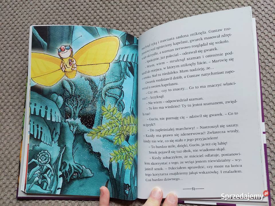 Wyprawa skarb Małgorzata Węgrzecka ISBN 9788361824268 Książki dla dzieci Kraków sprzedam