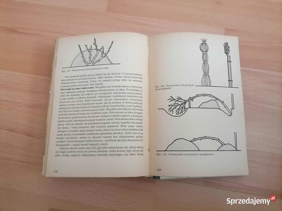 Działka Moje Hobby 1984 dom i ogród